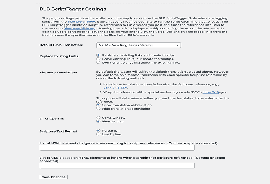 Adjust ScriptTagger Settings