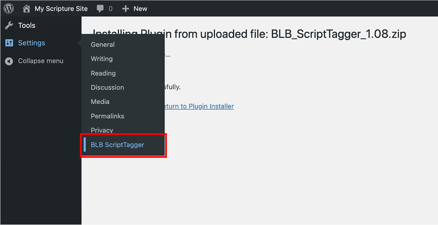 Hover over "Settings" and click "BLB ScriptTagger"