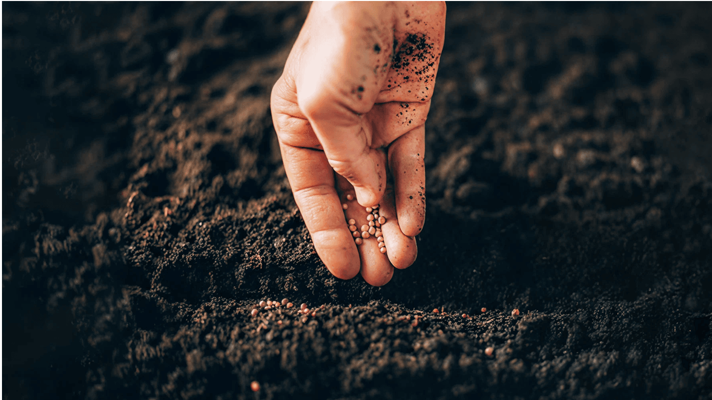 /images/ministries/sowing-circle.png